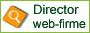 Director web si director firme luxdesign28